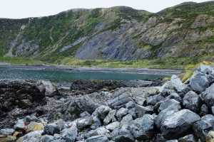 OWHIRO-BAY (18)